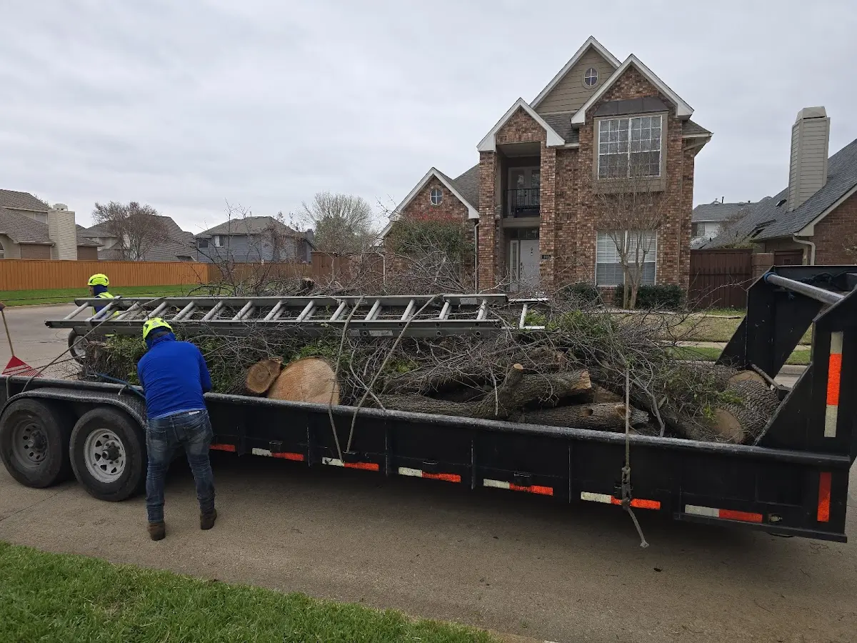 Expert Tree Pest Control with proper safety equipment in Cal Nev Ari